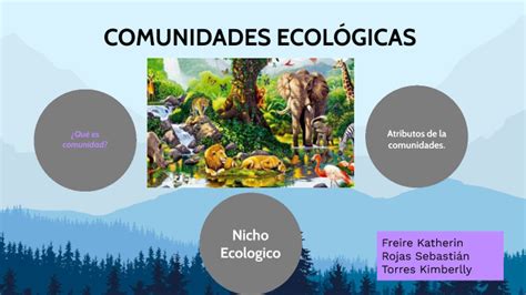 Comunidades Ecologicas By Sebastian Rojas On Prezi