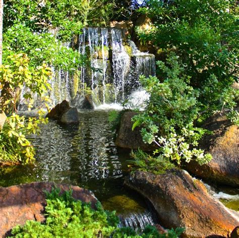 12 Amazing Waterfalls In Florida The Crazy Tourist