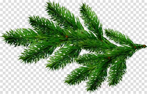 Christmas Tree Branches Png Png Image Collection