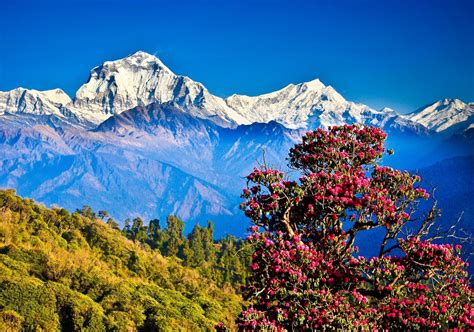 Pokhara Wallpapers Top Free Pokhara Backgrounds Wallpaperaccess