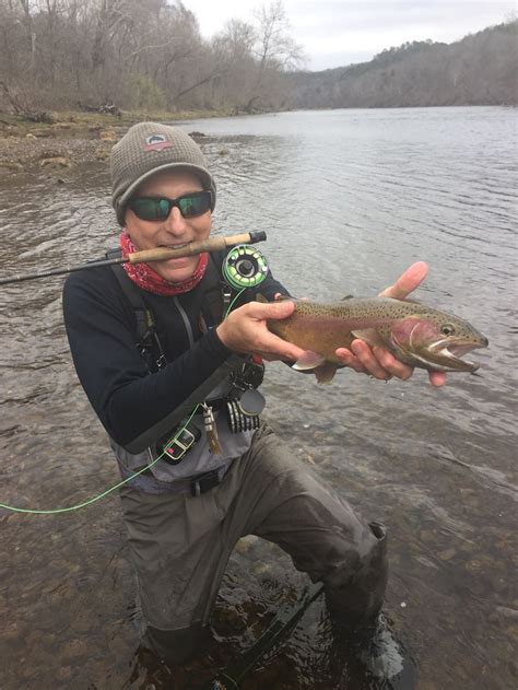 Nice Rainbow On Norfork River Arkansas Fly Fishing Norfork Fishing