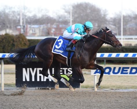 Brian Nadeaus Road To The Triple Crown 2019 The Gotham Stakes