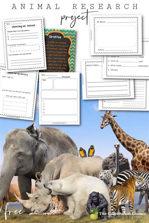 Writing Unit Of Study Animal Research Project The Curriculum Corner 123