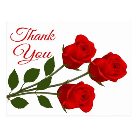 Red Rose Flowers Thank You Floral Postcard