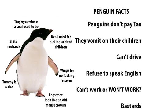 Technicallyron On Twitter Its Easy To Think Penguins Are Cute But What Are The Real Facts