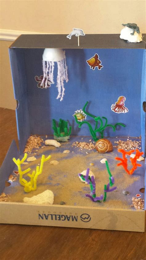 How To Make A Coral Reef For A School Project