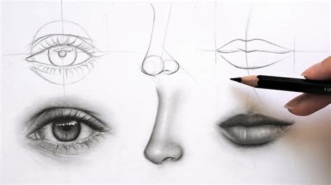 Sketches Of Eyes And Lips