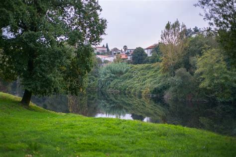 River Water Reflection Green Grass Meadow Tree Village Town Stock Image