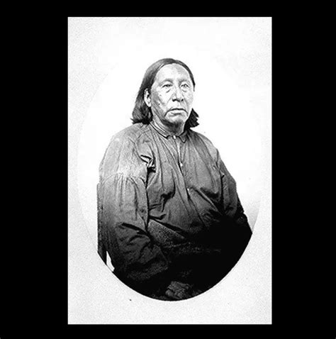 Chief Little Raven Photo Arapaho Indians Native Americans Chief Hosa 4