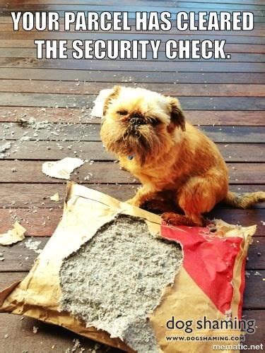 Your Parcel Has Cleared The Security Check Dog Shaming Funny