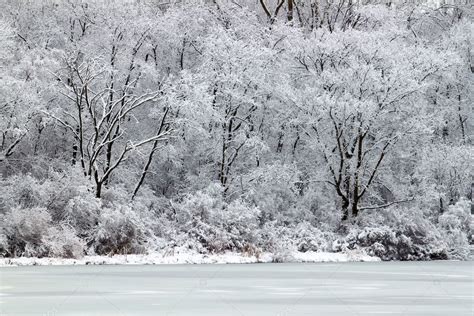 Pierce Lake Snowfall Illinois Stock Photo By ©wirepec 5474655