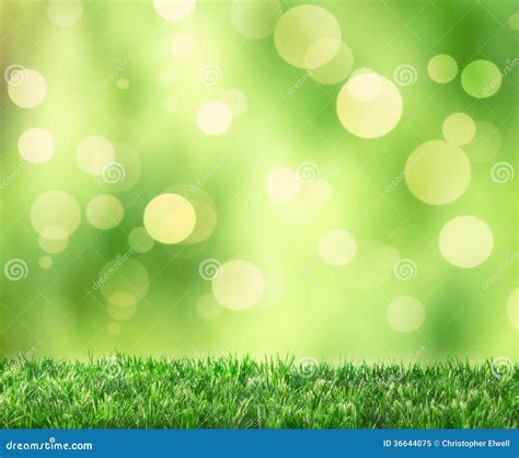 Spring Bokeh Stock Image Image Of Lawn Garden Countryside 36644075
