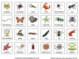 Clipboards with pencils (for field trip). Classifying Invertebrates KS2 Lesson Plan and Worksheet | Teaching Resources