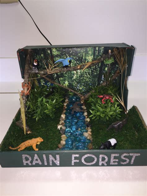 Rainforest Habitat Diorama Rainforest Project Rainforest Habitat