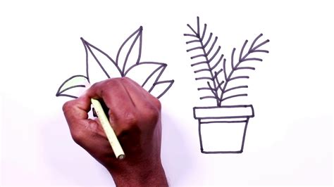 Plant Drawing How To Draw Plants Step By Step Part 4 Youtube