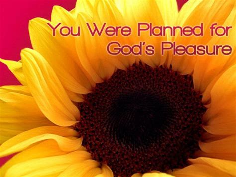 Day 8 Planned For Gods Pleasure Ephesians How To Plan God