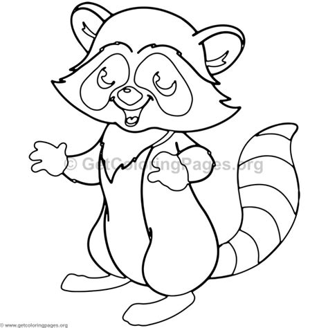 Baby Raccoon Drawing At Getdrawings Free Download