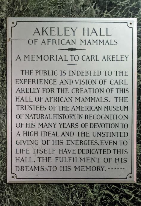 Read The Plaque Akeley Hall Of African Mammals