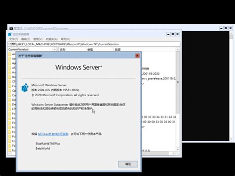 Windows Server 2022100195511005rs Prerelease Flt200118 2110
