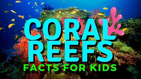 Coral Reef Pictures For Kids