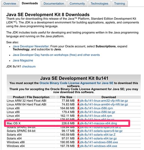 Java Runtime Environment Download Damermates