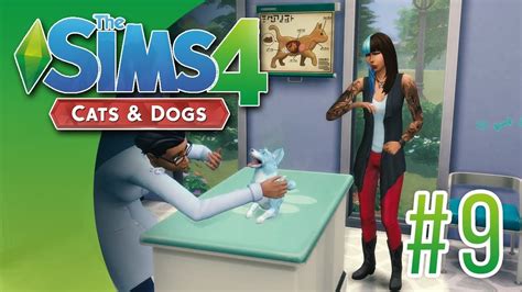 Sims 4 Vetrinarian Cats And Dogs Recolor Walkbxe