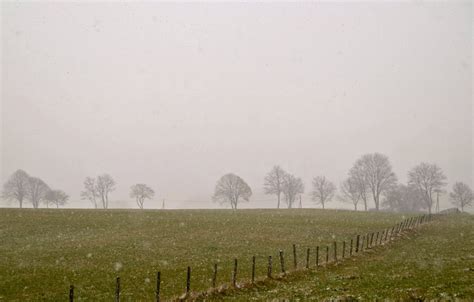 Es schneit Foto & Bild | landschaften, winter, jahreszeit Bilder auf