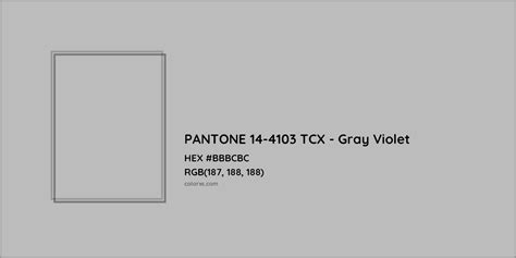 About Pantone 14 4103 Tcx Gray Violet Color Color Codes Similar