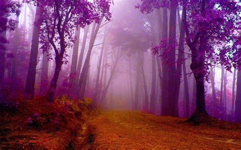 Purple Fall Leaves Hd Autumn In Purple Wallpaper Fall Pinterest