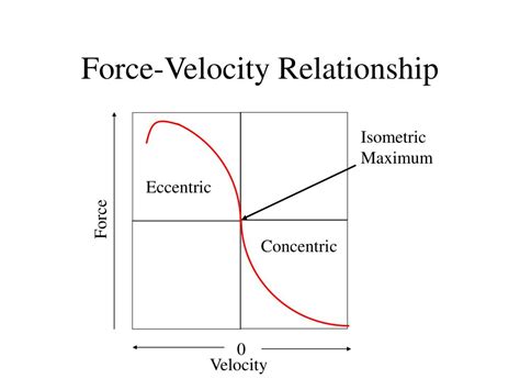 Force velocity curve concentric contraction. PPT - Factors Affecting the Magnitude of Muscle Force ...