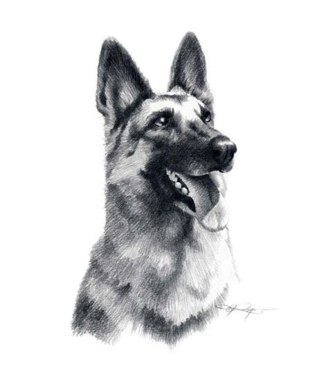 You can learn how to draw a german shepherd dog by following this guided lesson. Exiting pencil-drawing german shepherd portrait tattoo ...