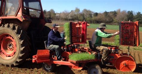 Its maintenance is essential for the production of food and other agricultural goods and the benefits these provide to humanity, including food security, nutrition and livelihoods. Organic farming benefits biodiversity