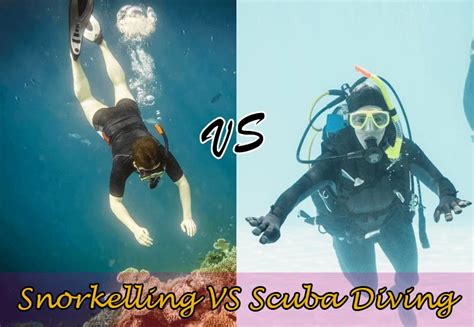 Is There A Difference Between Snorkelling And Scuba Diving