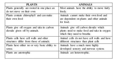What is the difference between plant and animal cells? Give five points of difference between plants and animals ...
