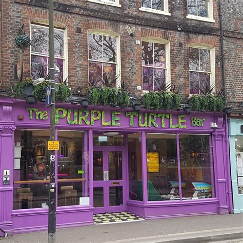 The Purple Turtle Reading All You Need To Know Before You Go