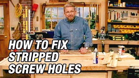 See below for bug description. How to Fix Stripped Screw Holes - YouTube