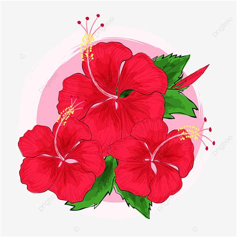 Gambar Bunga Raya Reka Bentuk Bunga Bunga Raya Bunga Tropika Png Dan Vektor Untuk Muat Turun