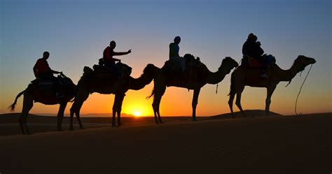 Join merzouga camel trekking for walking or riding camel safaris through the erg cehbbi dunes. 2 Hours Merzouga Sunset Camel Treks / Camel Ride Sunrise ...