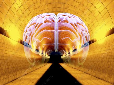 Brain in Tunnel, psychological state - Stock Image - F005/6907 ...