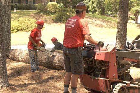 These include pest prevention, tree removal, trimming, thinning, stump grinding, deadwood removal, and storm damage control. Tree Removal