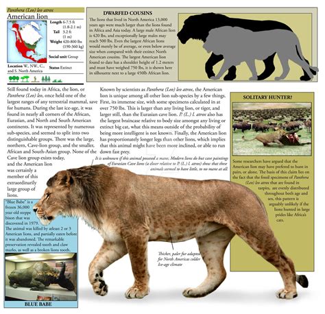 Panthera Leo Atrox Extinct Animals American Lion Prehistoric Animals