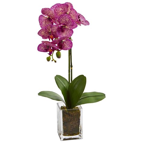 24” Orchid Phalaenopsis Artificial Arrangement In Vase Nearly Natural