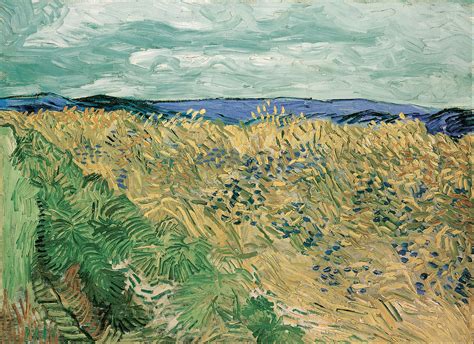 File Vincent Van Gogh Wheatfield With Cornflowers Google Art