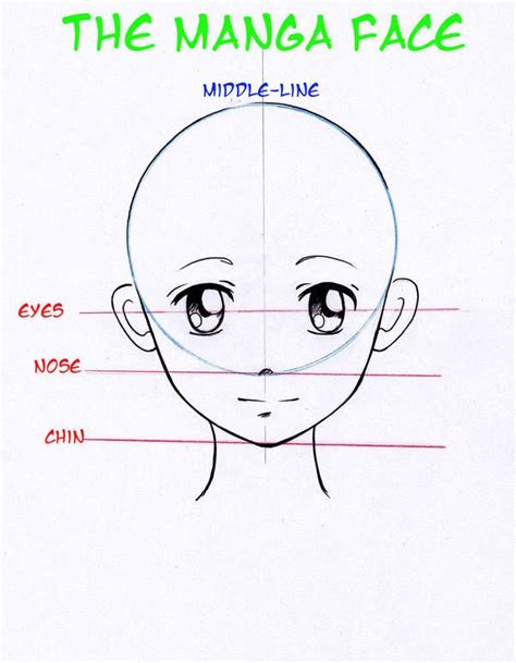 Manga Basic Head By Nevaart Drawing Tutorials For Beginners Drawing