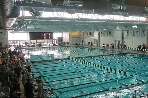 Wyoming Hs Girls Swimming And Diving All State Honors In 2019