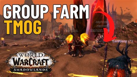 Best Group Transmog Farm In World Of Warcraft Silithus Group Farming