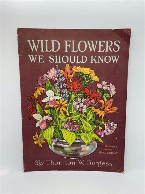 Wildflowers We Should Know Soft Cover Thornton W Burgess Etsy