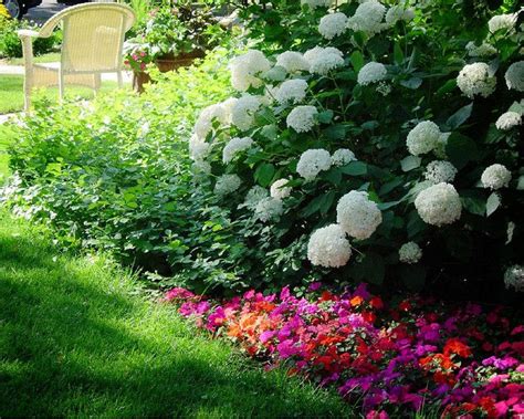 Top 12 Flowers For Your Shade Garden