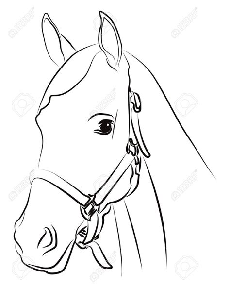 Kleurplaat op maat maakt kleurplaten voor volwassenen. Horse Drawing Outline at GetDrawings | Free download
