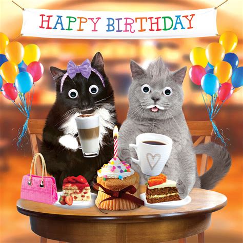 Funny Cats Birthday Card Birthday Treat 3d Goggly Eyes Cat Lovers